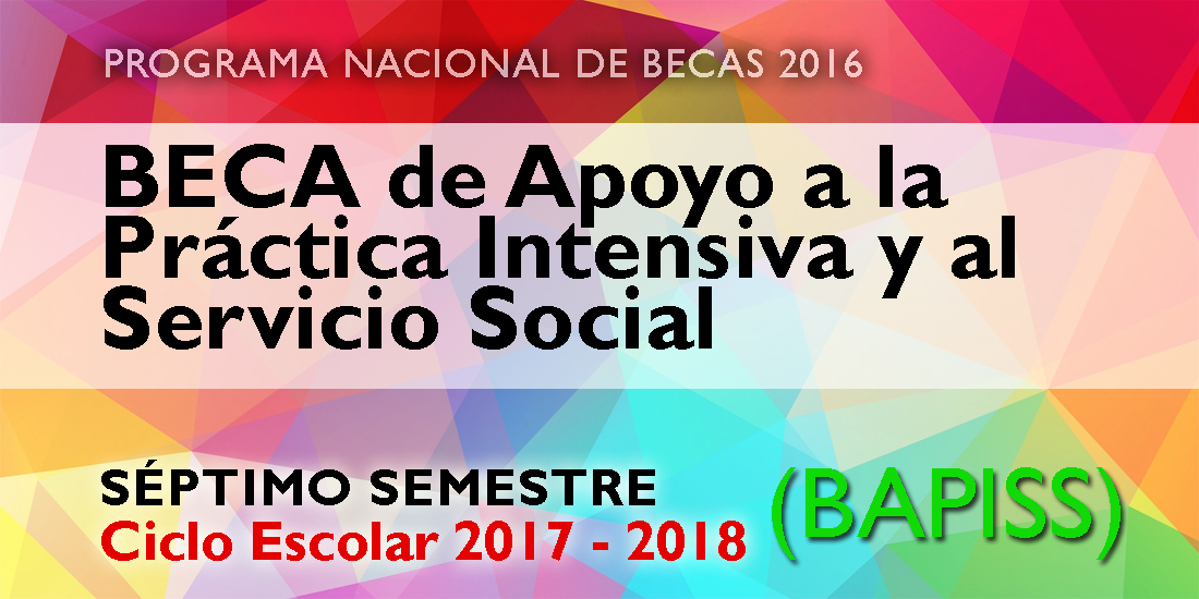 Beca de Apoyo a la Práctica Intensiva 2017-2018
