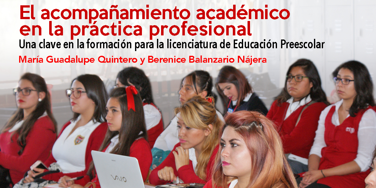 El acompañamiento académico en la práctica profesional