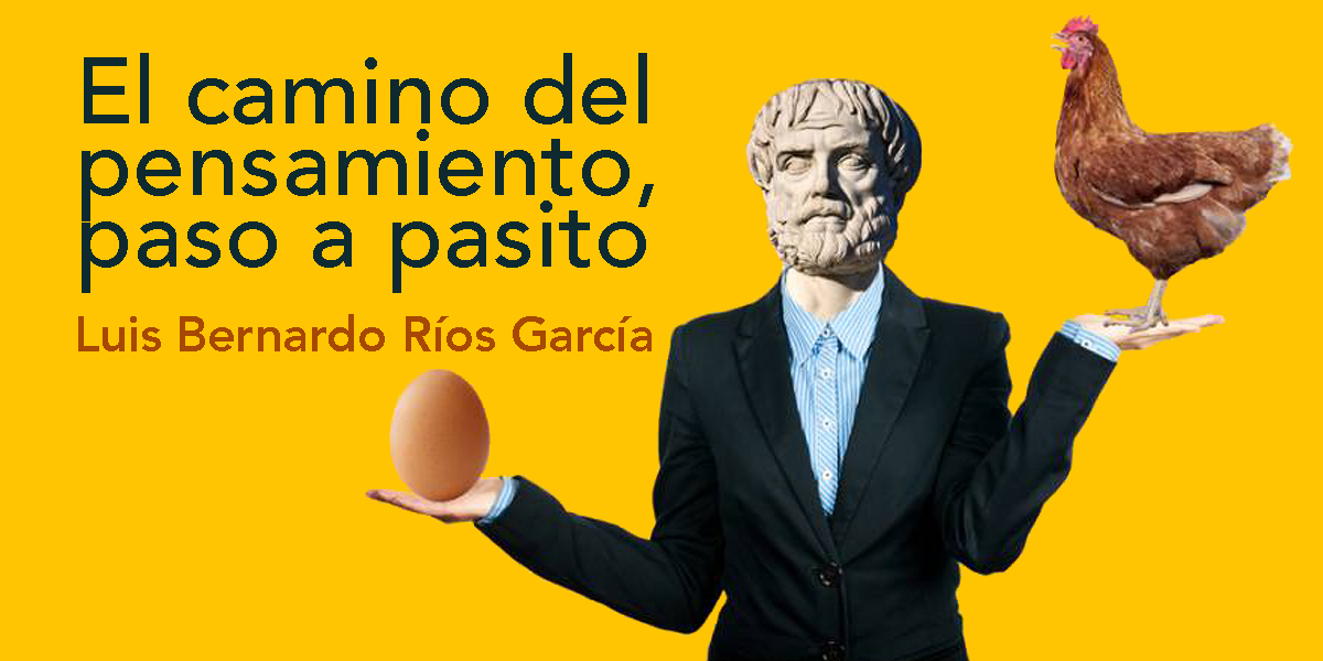 El camino del pensamiento, paso a pasito