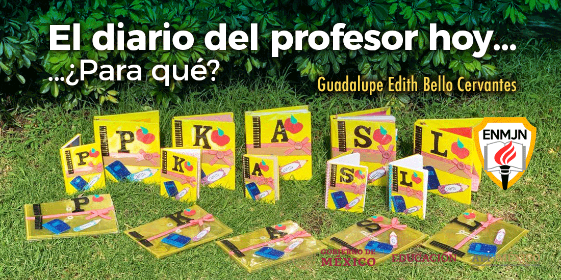 El diario del profesor hoy… ¿Para qué?